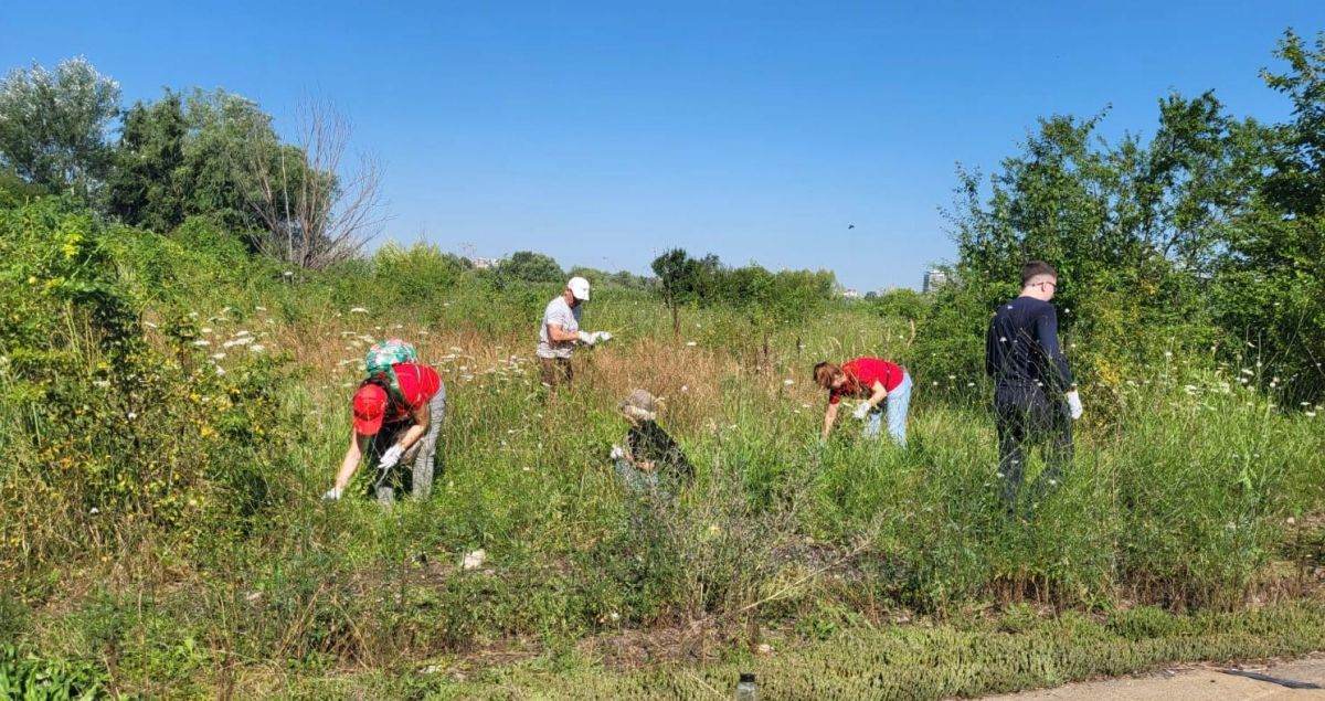 Parcul Natural Văcăreşti continuă programul de voluntariat cu o nouă acţiune de ecologizare